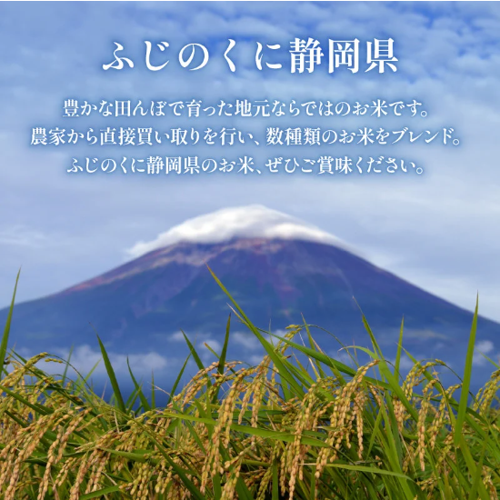米 無洗米 5kg 静岡県産 静岡のお米 令和6年産 お米 おこめ ご飯 ごはん 国産 産地直送 静岡県 藤枝市