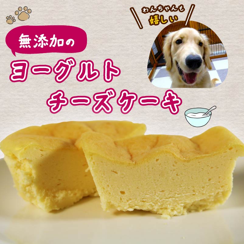 愛犬用 ヨーグルト チーズケーキ 2個 ペット ケーキ おやつ 愛犬 わんちゃん 犬用 ワンちゃん 犬 スイーツ 無添加 静岡 藤枝 2個（15,000円）