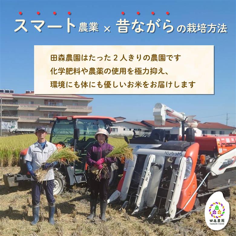 米 きぬむすめ 5kg 農家直送 特別栽培米 精米 令和7年度産 お米 新生活 贈り物 人気米 ご飯 白米 コメ 贈答 静岡県 藤枝市