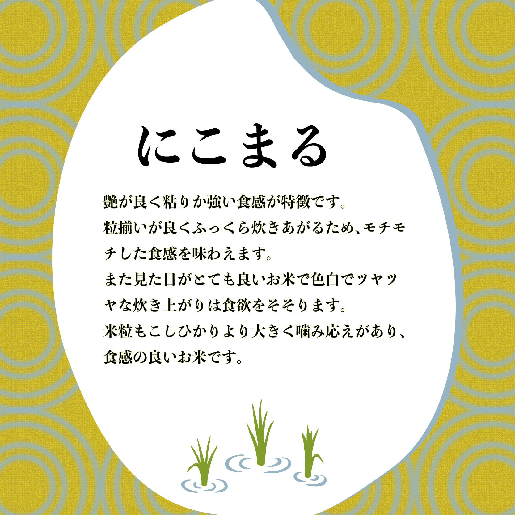 米 にこまる 2kg 農家直送 特別栽培米 精米 お米 新生活 贈り物 人気米 おにぎり ご飯 白米 コメ 贈答 静岡県 藤枝市