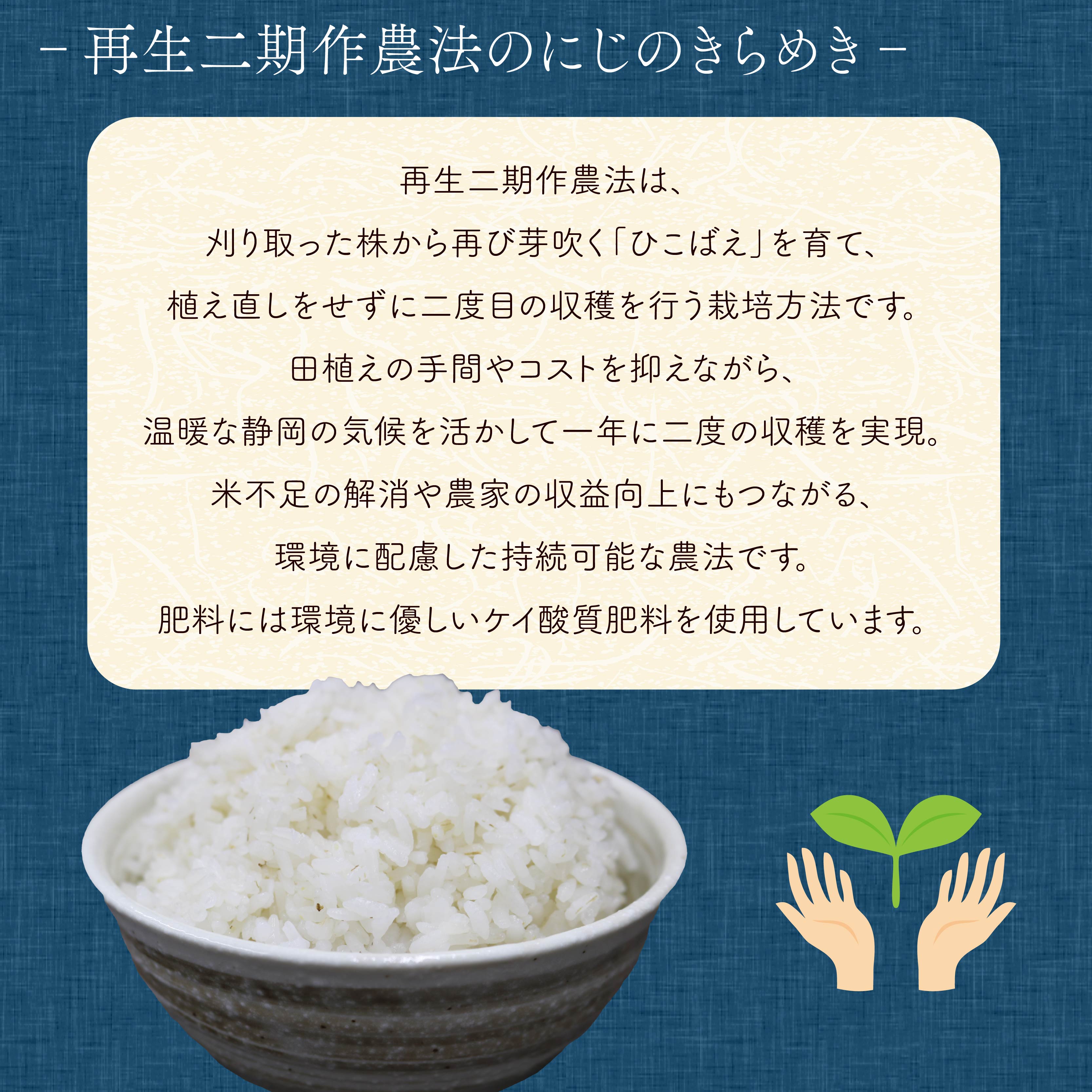 米 にじのきらめき 5kg 訳あり 再生二期作 規格外品 お米 新生活 贈り物 ご飯 ごはん 白米 コメ ライス こだわり 農作物 静岡県産米 静岡県 藤枝市