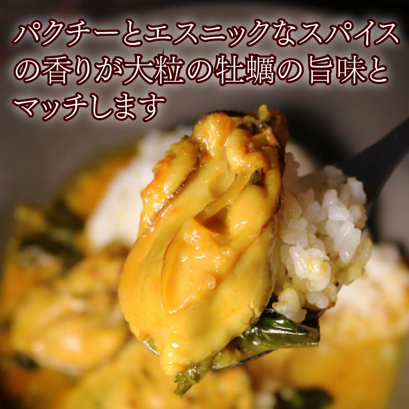 パクチー 香る 牡蠣 の スパイシー カレー 3人前（200ｇ×3袋） 牡蠣カレー オイスター カキ スパイシーカレー 惣菜 カレーライス 牡蠣のカレー パクチーカレー 牡蠣のスパイシーカレー かき かれー エスニック オイスターバーHALFSHELL オイスターバー HALFSHELL 静岡県 藤枝市