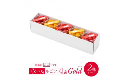 高糖度 ミニトマト アメーラルビンズ ゴールド トマト 5パック セット 糖度 10度 以上 先行予約 2026年1月より発送 アメーラトマト トマト トマト トマト