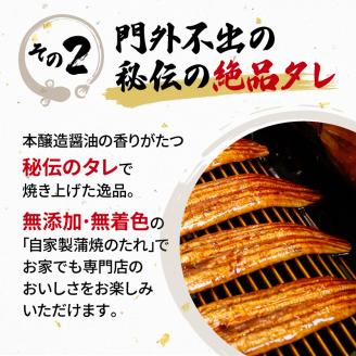 うなぎ 国産 蒲焼 160g × 8尾 計1280g 鰻蒲焼 ウナギ 土用 丑の日 JAS認定 活鰻 自家製蒲焼のたれ 山椒 ギフト 贈答 冷凍 養殖 真空パック レンジ 調理 湯煎 まとめ買い 静岡県 藤