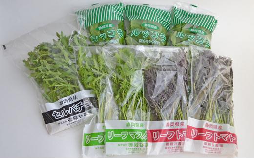 定期便 3回 国産 ハーブ 野菜 詰め合わせ 約 450g 4種 8袋 セット × 3ヶ月 お届け ルッコラ 約 50g × 3袋 リーフトマト 赤からし菜 約 50g × 2袋 リーフマスタード
