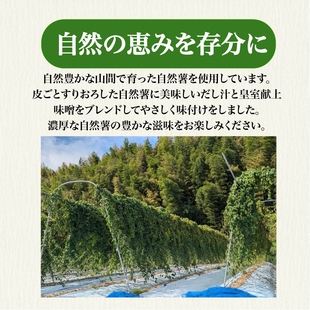 とろろ 冷凍 125g × 6個 自然薯 100％ 小分け セット とろろ汁 長芋 山芋 お手軽  農林水産省賞 受賞 ご飯 お供 そば つけ汁 健康 栄養 夏 バテ とろろ芋 個包装 静岡県 藤枝市
