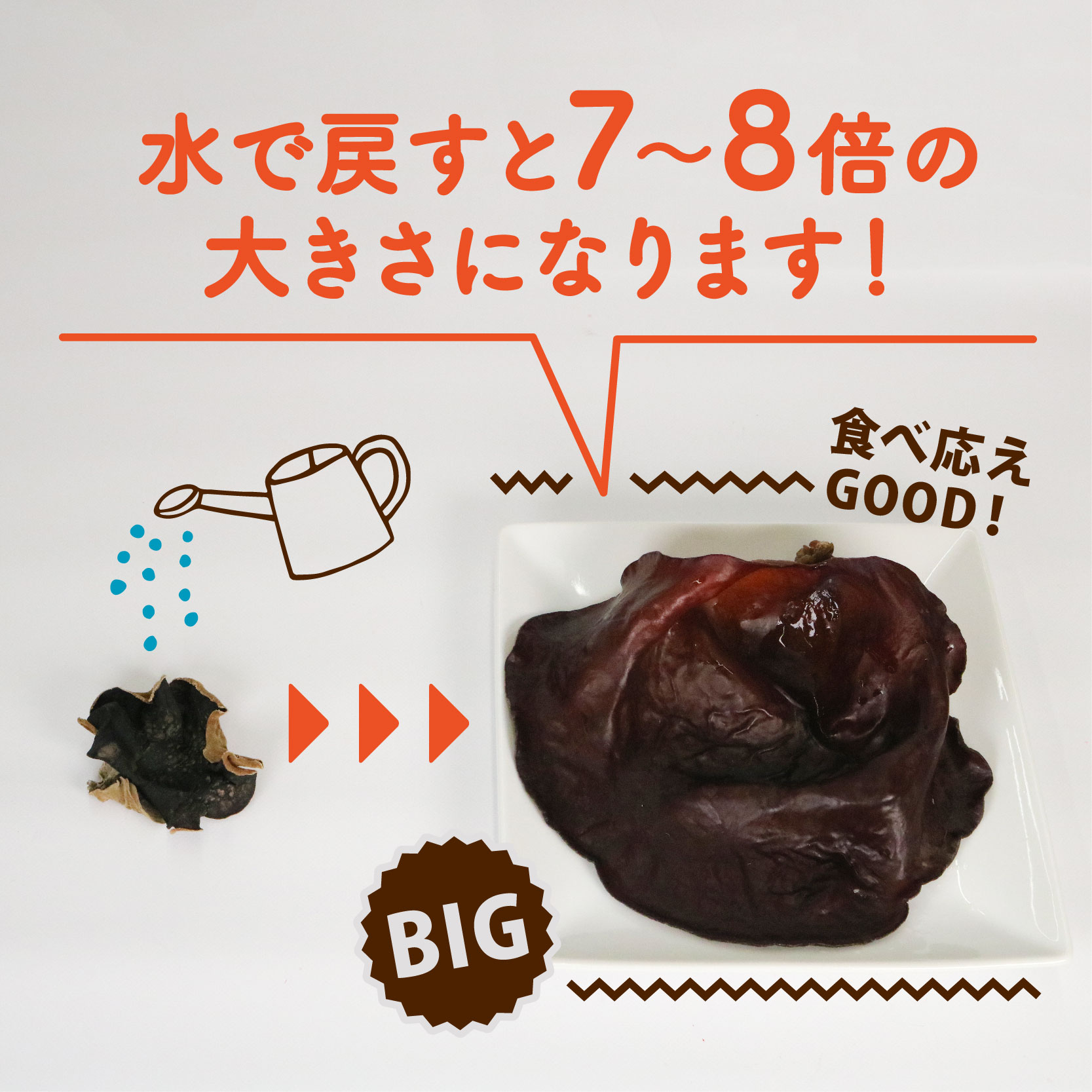  きくらげ 乾燥 丸干し 25g × 2袋 国産 天日干し きのこ きくらげ キクラゲ 木耳 ビタミンD 鉄分 カルシウム 静岡県 藤枝市