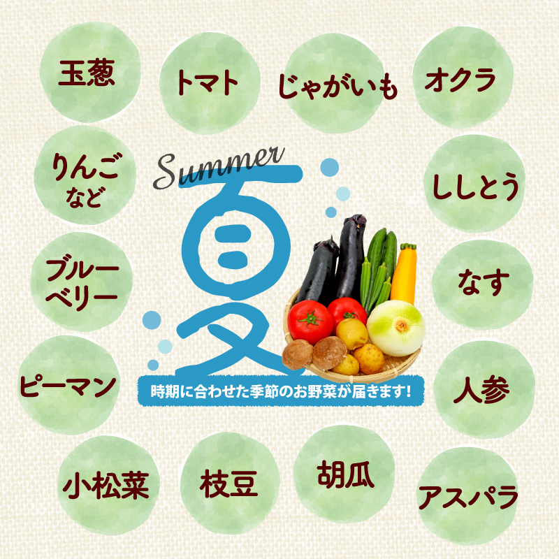 野菜 詰合せ 6～8種 おまかせ 旬 まんさいかん ボックス 静岡県 藤枝市  (旬 野菜 野菜セット 野菜盛り合わせ)