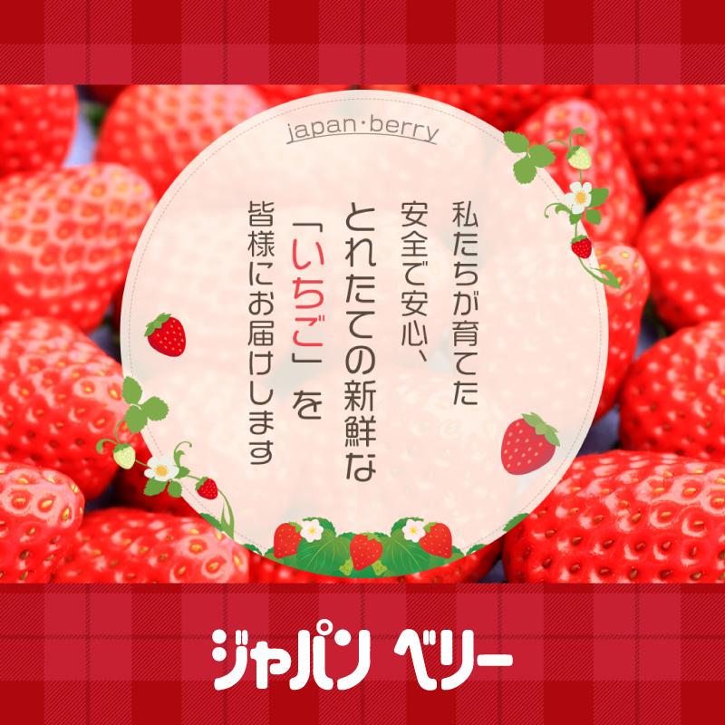 冷凍 いちご 計2kg 2種類 セット 紅ほっぺ 章姫 きらぴ香 かおり野 フルーツ 果物 イチゴ フローズン スムージー ヨーグルト 苺 静岡県 藤枝市 ふるさと人気