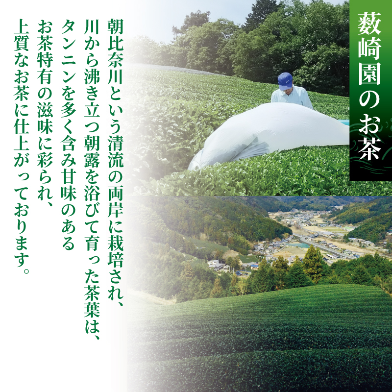 玉露 入 煎茶 ティーバック お茶 日本茶 静岡県産 静岡茶 飲料 おすすめ 水出し おちゃ 静岡県 藤枝市
