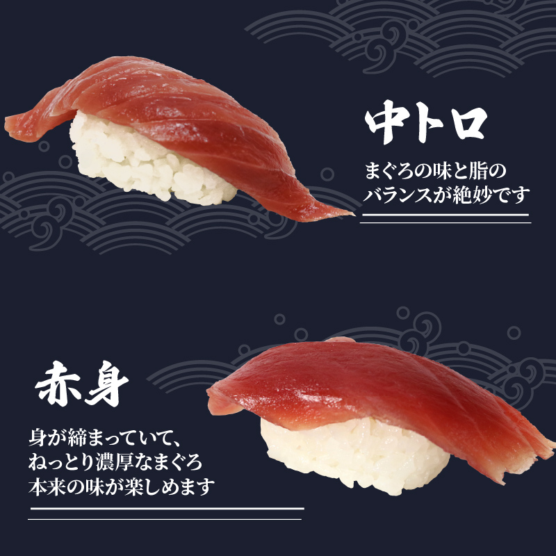 寿司 マグロ ミナミ まぐろ 握り 20 貫 セット 中トロ 10枚 赤身 10枚 南鮪 南まぐろ ミナミマグロ すし 加納商店 静岡県 藤枝市 中トロ10枚・赤身10枚(\25,000)