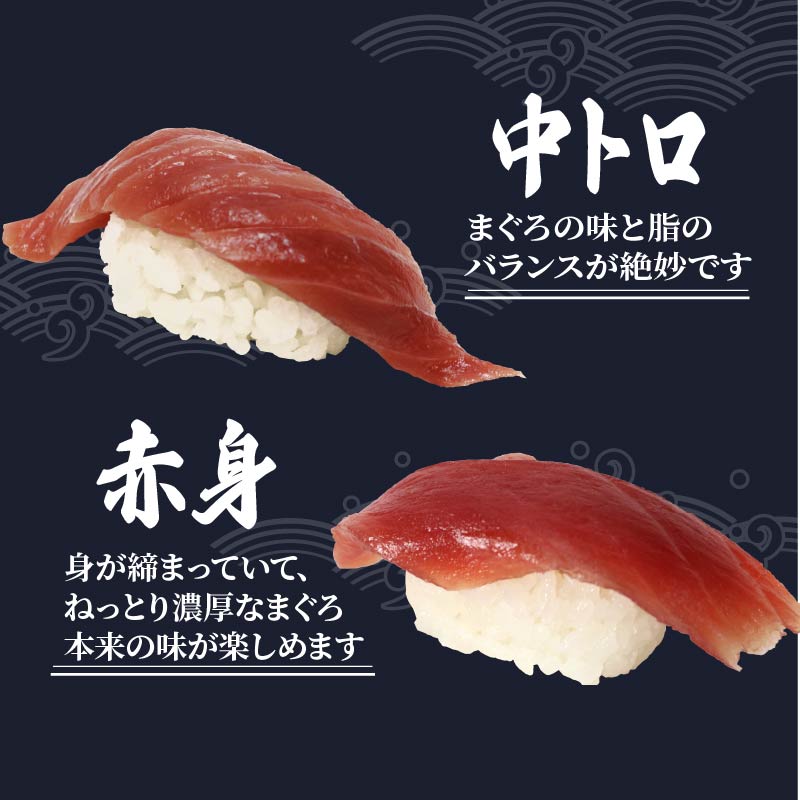 寿司 マグロ 南 まぐろ 20貫 セット 中トロ 5枚 赤身 15枚 ミナミまぐろ 握り 南鮪 南まぐろ ミナミマグロ すし 加納商店 静岡県 藤枝市 中トロ5枚・赤身15枚(\17,000)