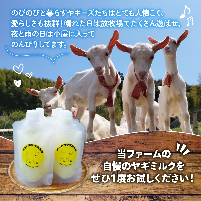 【 3か月連続定期便 】 ペット用 ミルク ヤギ 100ml × 7本 山羊 新鮮 国産 乳 犬 猫 栄養補給 定期便 静岡県 藤枝市