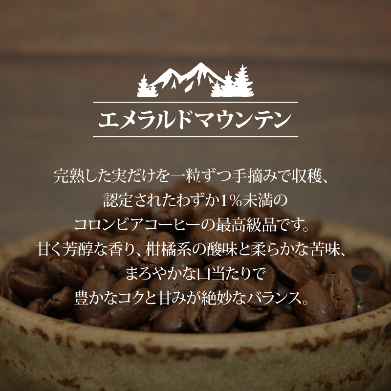 コーヒー豆 400g ブルーマウンテン エメラルドマウンテン 各200gセット コーヒー 高級 美味しい 鮮度 新鮮 自家焙煎 珈琲 藤枝市 静岡県 PT0206-000010