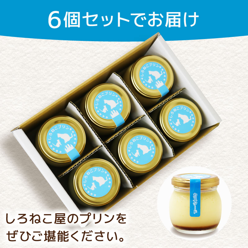 プリン 手作り カスタード プリン 6個 セット お菓子 デザート スイーツ おいしい おやつ 洋菓子 ご褒美 送料無料 静岡県 藤枝市