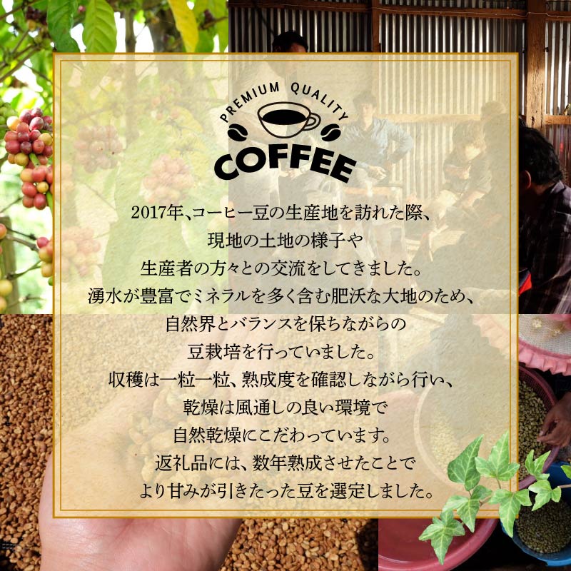 コーヒー 豆 100g×4袋 計400g ボリビア産 深煎り コーヒー 珈琲 豆 自家焙煎 ドリップ ブレンド 香り コク おいしい 新鮮 静岡県 藤枝市