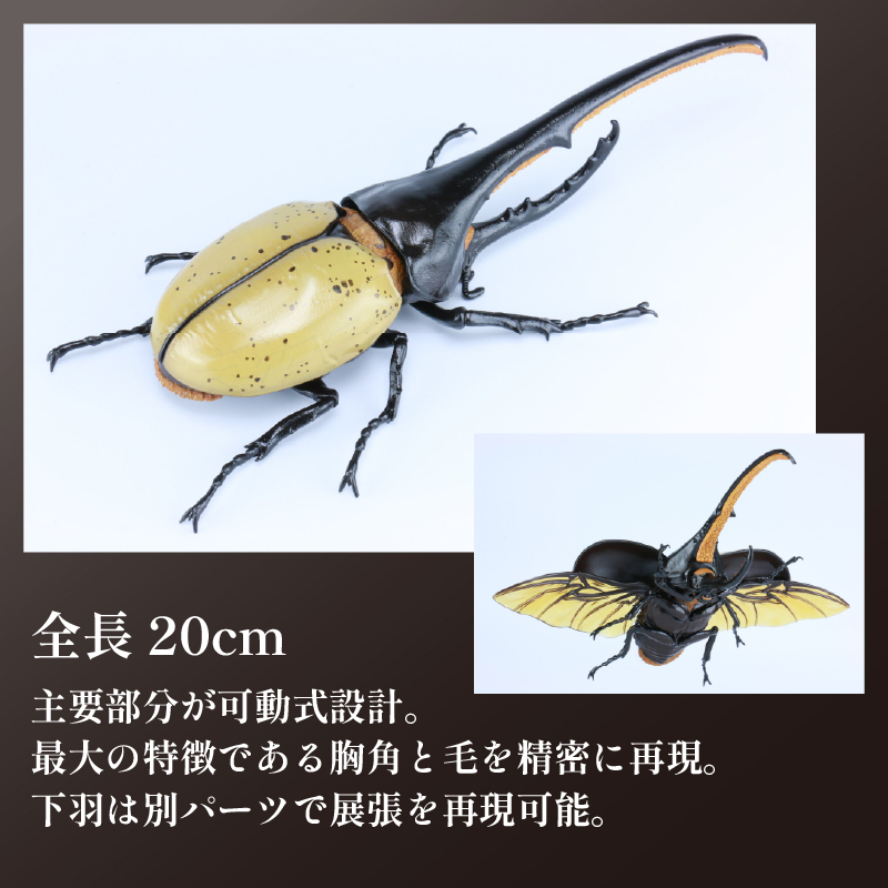 模型 昆虫 自由研究シリーズセット ヘラクレスオオカブト カブトムシ 2セット おもちゃ 玩具 ホビー 夏休み 虫 ヘラクレス 送料無料 フジミ 静岡県 藤枝市