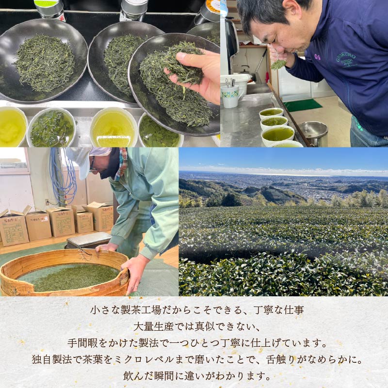 まごころ製茶 ペットボトル 350ml 16本 セット お茶 藤枝茶 緑茶 日本茶 飲料 持ち運び 便利 ペットボトル茶 微粉末緑茶 カテキン ご褒美 贈答 プレゼント 静岡県 藤枝市