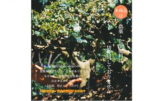 【完全有機栽培】熟成三年番茶30本セット（有機JAS）