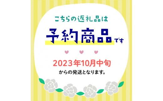 【2023年10月中旬から順次出荷】 花苗 おすすめ セット 8 ~ 10 ポット ガーデニング 寄せ植え 季節 お花 贈り物