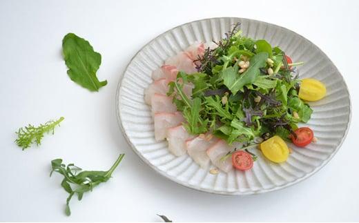 国産 ハーブ 野菜 詰め合わせ 約 450g 4種 8袋 セット ルッコラ 約 50g × 3袋 リーフトマト 赤からし菜 約 50g × 2袋 リーフマスタード からし菜 約 50g × 2袋