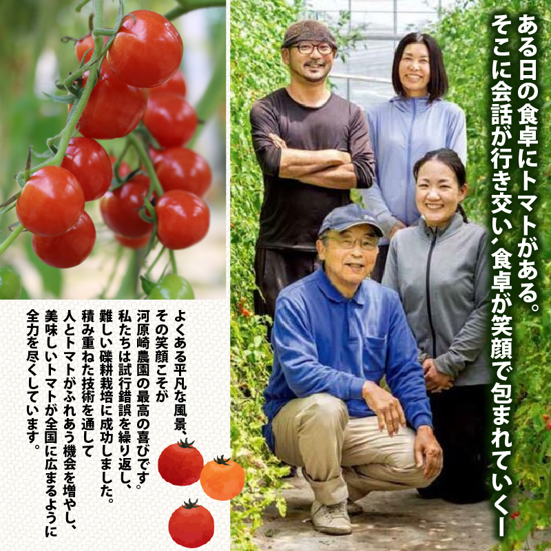 ミニ トマト プチルージュ 16パック 野菜 ダイエット 健康 リコピン グルメ ヘルシー 美容 ダイエット トマト ミニ トマト 旬 トマト