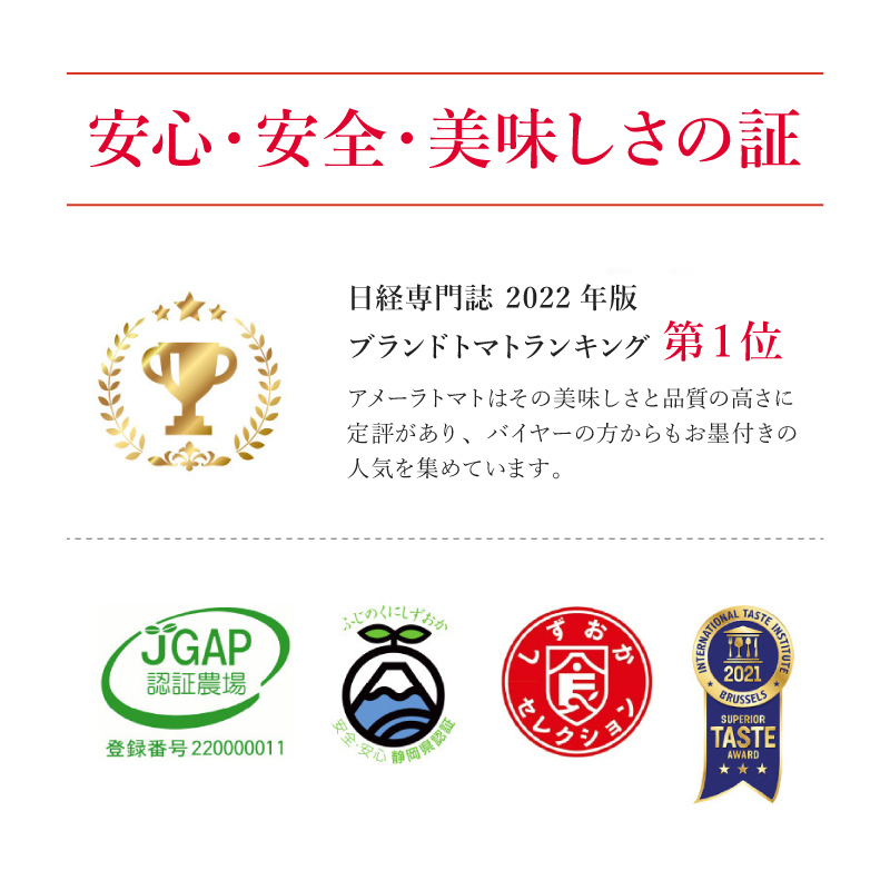アメーラ トマト ミニトマト 5パック セット アメーラルビンズ 高糖度 7.5以上 化粧箱入り 産地 直送 新鮮 旬の 野菜 高級 フルーツトマト アメーラトマト トマト トマト トマト