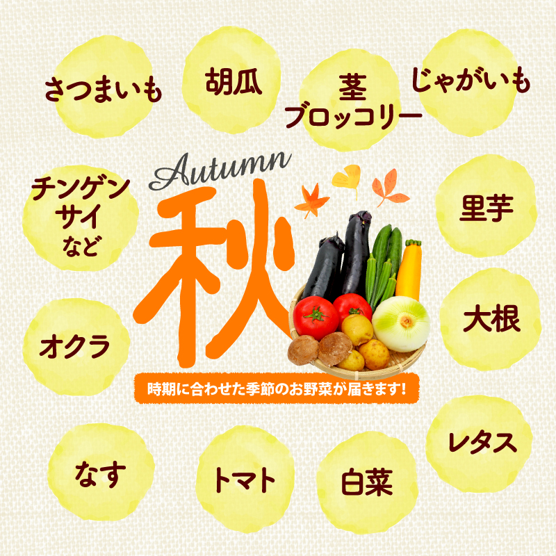 野菜 詰合せ 9～12種 おまかせ 旬 まんさいかん ボックス 静岡県 藤枝市 (旬 野菜 野菜セット 野菜盛り合わせ)