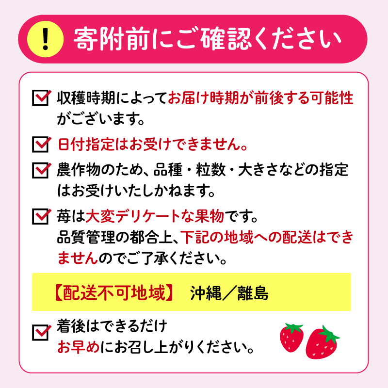 【いちご】 【先行予約 2026年01月より順次発送】 いちご 2kg 以上 おまかせ 苺 旬 産地 直送 フレッシュ イチゴ 紅ほっぺ きらぴ香 かおり野 フルーツ 果物 国産 ジャパンベリー オンライン決済限定 静岡県 藤枝市 PT0040-000010