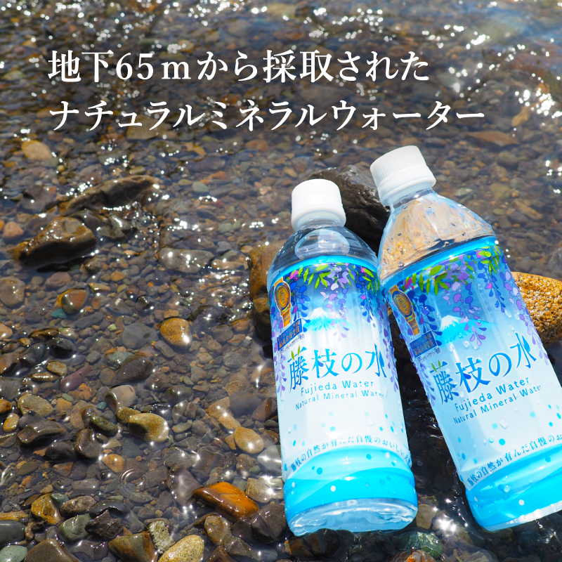 水 500ml 24本 ナチュラル ミネラル ウォーター モンド セレクション 金賞受賞 天然水 飲料 2年間 保存 常備水 藤枝の水 防災 災害 常備 飲料水 備蓄 静岡県 藤枝市
