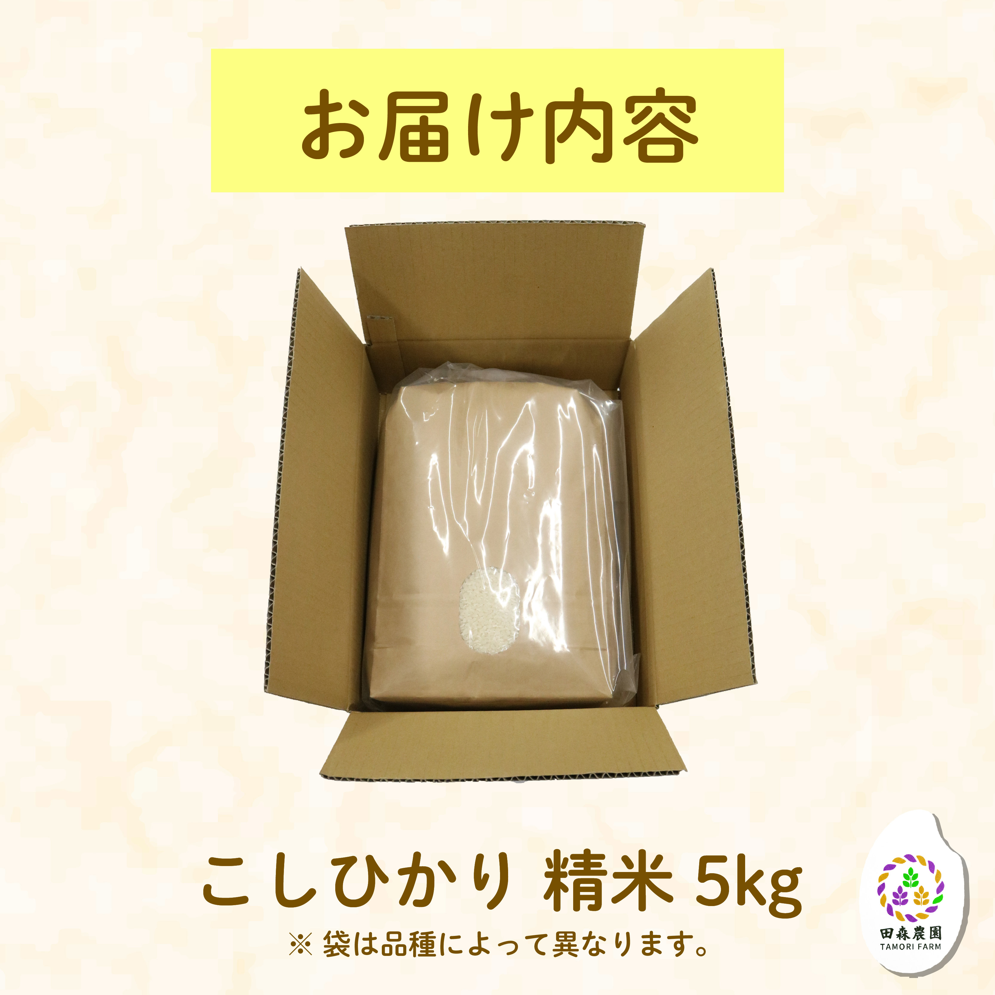 米 こしひかり 5kg 農家直送 特別栽培米 精米 コシヒカリ 令和7年度産 お米 新生活 贈り物 人気米 ご飯 白米 コメ 贈答 静岡県 藤枝市