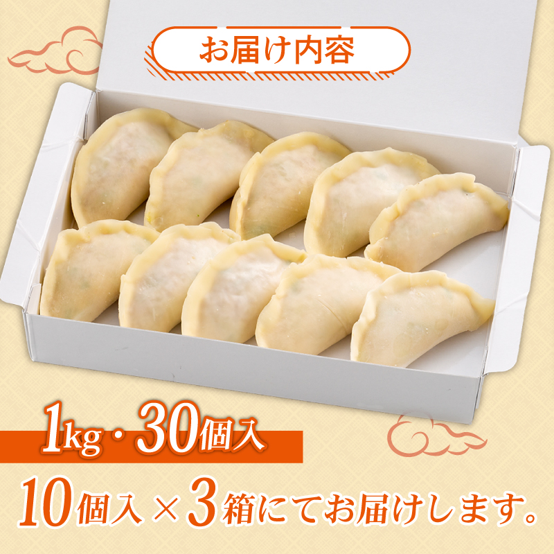 【創業50年 老舗ラーメン店が作る】手作り ジャンボ 冷凍餃子 30個入り 餃子 冷凍 冷凍食品 ぎょうざ ギョウザ ギョーザ おつまみ 静岡県 藤枝市