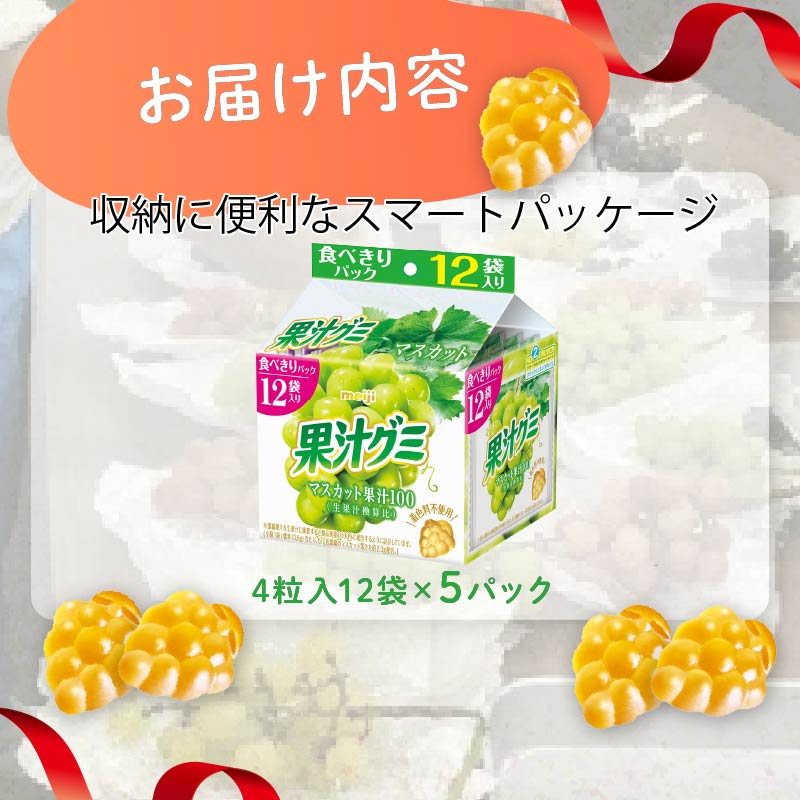 明治 果汁グミスマートパック マスカット 163ｇ × 5個 グミ お菓子 おやつ フルーツ 果物 果汁 詰め合わせ 詰合せ セット まとめ買い 静岡県 藤枝市