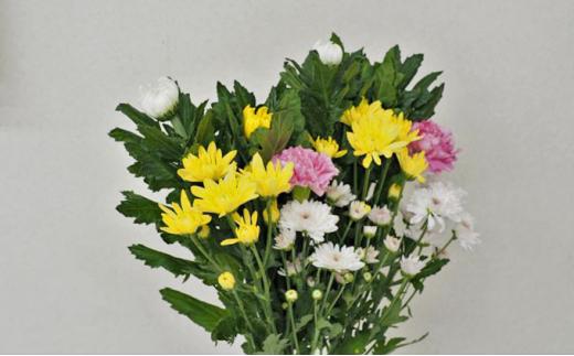 定期便 12回 お供え 生花 組花 毎月 1回 1年 コース お悔み 法事 49日 一周忌 三回忌 お花 法要 四十九日 ペット
