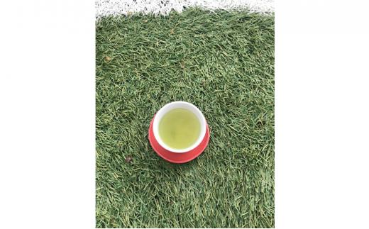 FUJIEDA OMOCHA（松・藤・鶯）3種のお茶