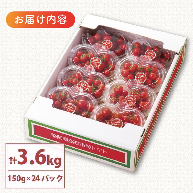 プチルージュ トマト 24パック トマト 野菜 旬 トマト ミニトマト