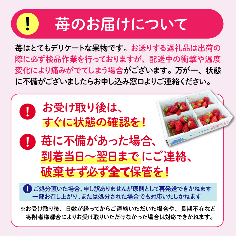 【先行予約 2026年04月より順次発送】 いちご 2kg 以上 おまかせ 苺 旬 産地 直送 フレッシュ イチゴ 紅ほっぺ きらぴ香 かおりの フルーツ 果物 国産 ジャパン ベリー オンライン決済限定 静岡県 藤枝市