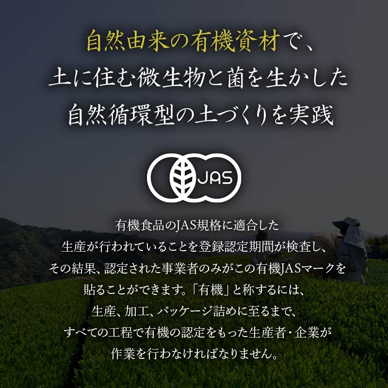 有機原料 抹茶入 玄米茶 ティーバッグ (3g×10包) ３袋セット 抹茶 オーガニック 静岡県 岡部茶 有機 JAS 無農薬 化学肥料 不使用 岡部茶 静岡県 藤枝市