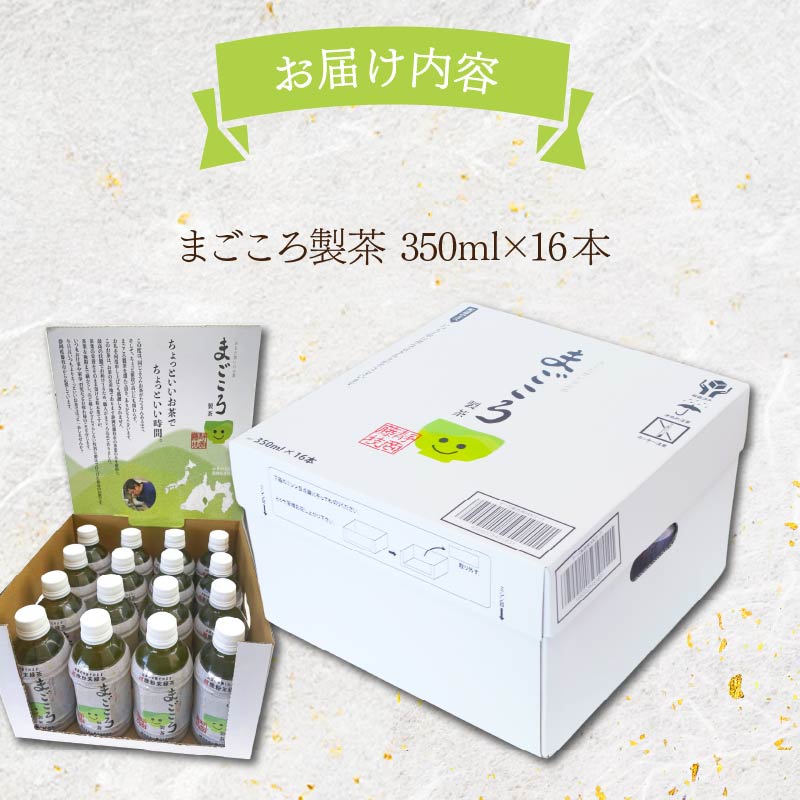 まごころ製茶 ペットボトル 350ml 16本 セット お茶 藤枝茶 緑茶 日本茶 飲料 持ち運び 便利 ペットボトル茶 微粉末緑茶 カテキン ご褒美 贈答 プレゼント 静岡県 藤枝市