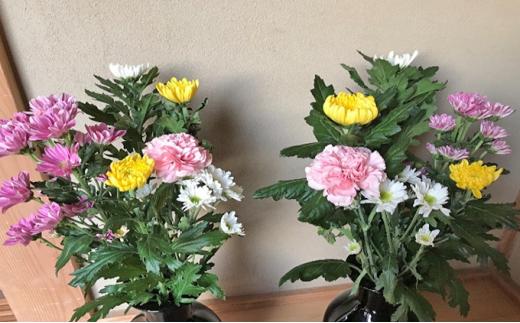 定期便 12回 お供え 生花 組花 毎月 1回 1年 コース お悔み 法事 49日 一周忌 三回忌 お花 法要 四十九日 ペット