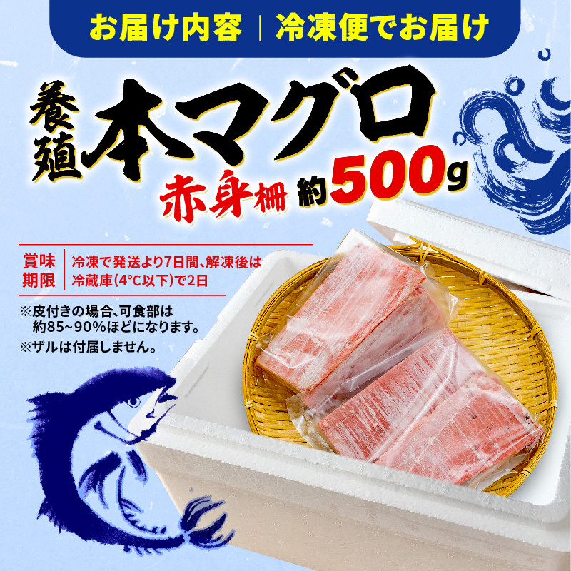 【藤枝市】【カネトモ】訳あり 本まぐろ 赤身 約500g 不定型柵 本鮪 通常配送