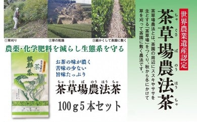 お茶 深蒸し茶 100g × 5本 セット 日本茶 静岡県 飲料 飲み物 健康 カテキン