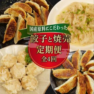 定期便 全4回 餃子 シュウマイ 詰め合わせ 国産野菜 国産豚肉 冷凍 餃子 ぎょうざ ギョーザ しゅうまい シューマイ 焼売 おつまみ 冷凍食品 食品 惣菜 中華 惣菜 業務用 おかず ビール