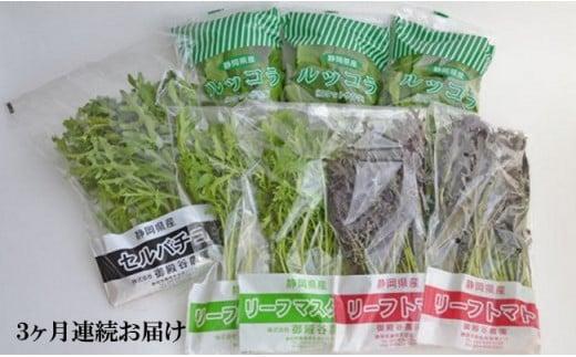 定期便 3回 国産 ハーブ 野菜 詰め合わせ 約 450g 4種 8袋 セット × 3ヶ月 お届け ルッコラ 約 50g × 3袋 リーフトマト 赤からし菜 約 50g × 2袋 リーフマスタード