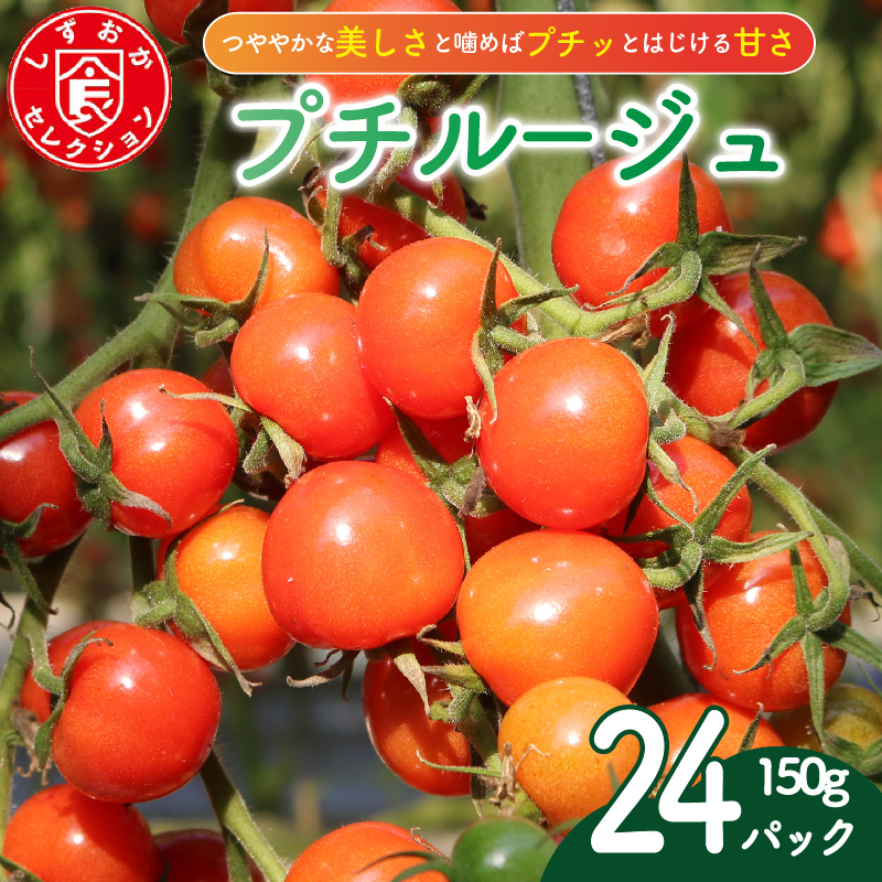 プチルージュ トマト 24パック トマト 野菜 旬 トマト ミニトマト