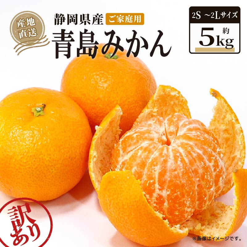 【2026年1月上旬～順次発送】 訳あり 青島 みかん 5kg 家庭用 青島みかん 果物 国産 フルーツ 柑橘 蜜柑 期間限定 季節限定 訳あり品 大きさ 不揃い ミカン  静岡県 藤枝市