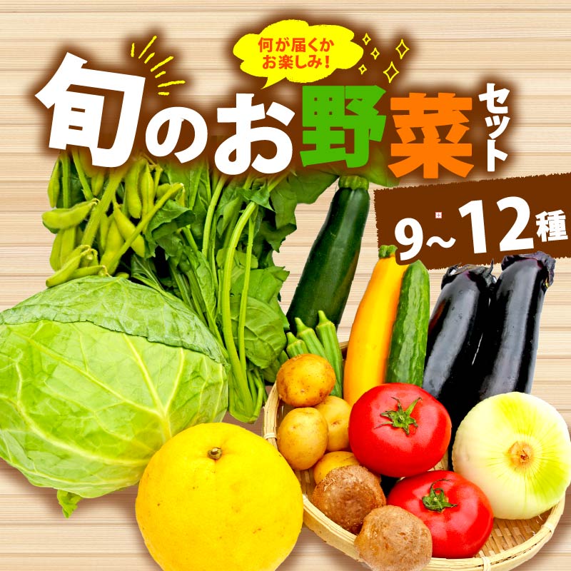 野菜 詰合せ 9～12種 おまかせ 旬 まんさいかん ボックス 静岡県 藤枝市 (旬 野菜 野菜セット 野菜盛り合わせ)
