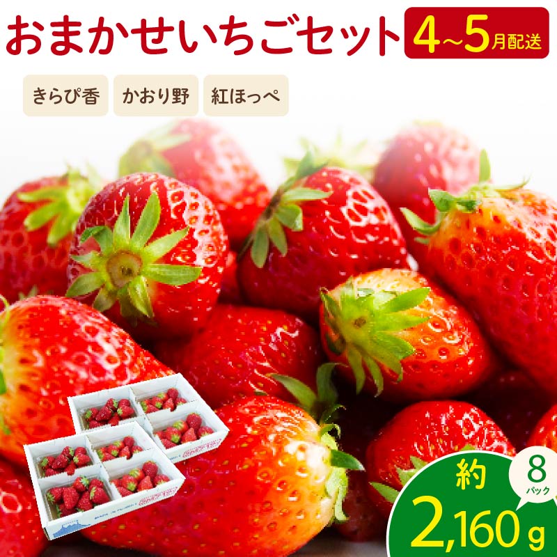 【先行予約 2026年04月より順次発送】 いちご 2kg 以上 おまかせ 苺 旬 産地 直送 フレッシュ イチゴ 紅ほっぺ きらぴ香 かおりの フルーツ 果物 国産 ジャパン ベリー オンライン決済限定 静岡県 藤枝市