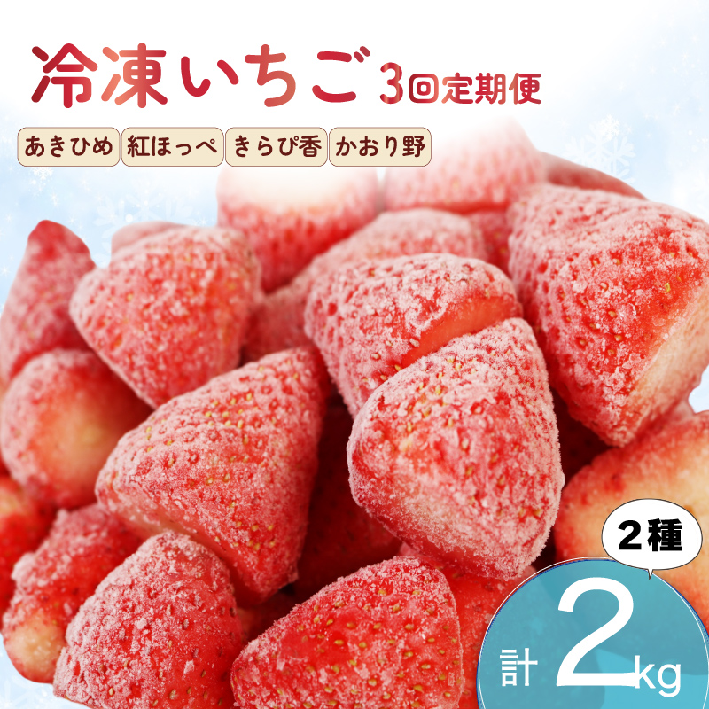【全3回定期便】 冷凍 いちご 計2kg セット 紅ほっぺ 章姫 きらぴ香 かおり野 フルーツ 果物 イチゴ フローズン スムージー ヨーグルト 苺 静岡県 藤枝市 ふるさと人気