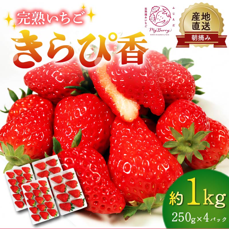 【先行予約 : 2026年3月～2026年5月発送予定 】 いちご きらぴ香 約1kg 約250g×4パック 朝どれ 完熟 苺 産地 直送 フレッシュ イチゴ 贈答 フルーツ 果物 国産 静岡県 藤枝市 ふるさと人気 ふるさとおすすめ
